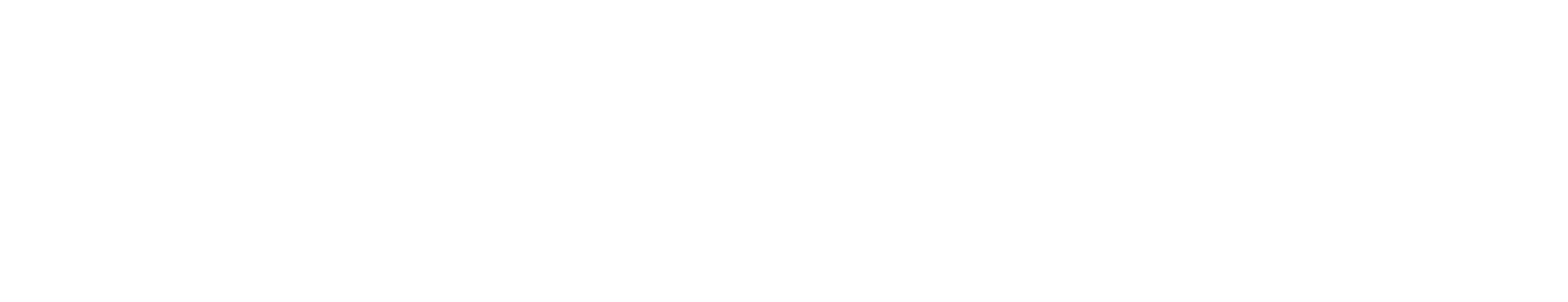 Revalytics R